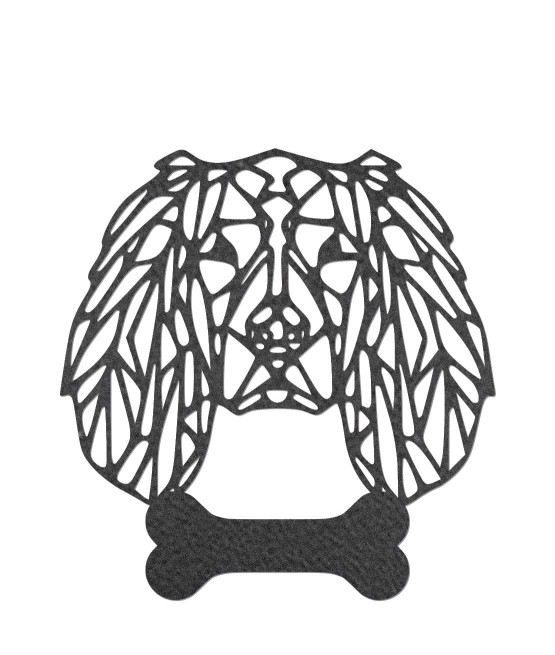 Anglický špringeršpaniel...