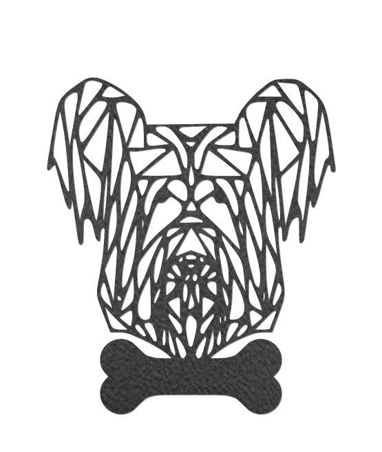 Skye teriér vzor AGD21